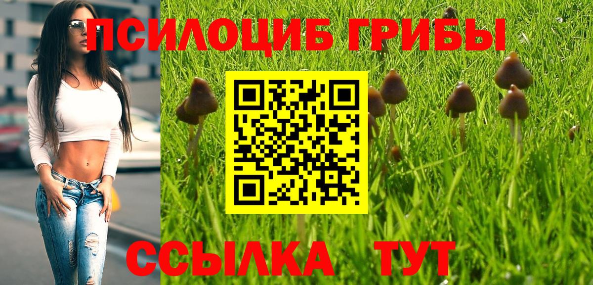 Галлюциногенные грибы Cubensis Калач-на-Дону