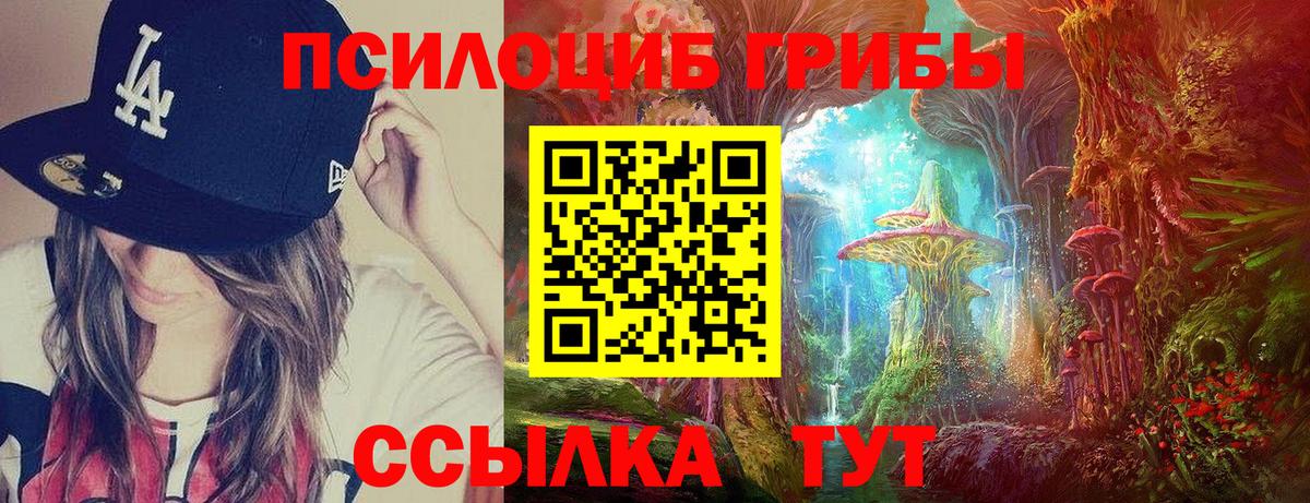 Псилоцибиновые грибы MAGIC MUSHROOMS  Вход с VPN  Калач-на-Дону  Псилоцибиновые грибы GOLDEN TEACHER 